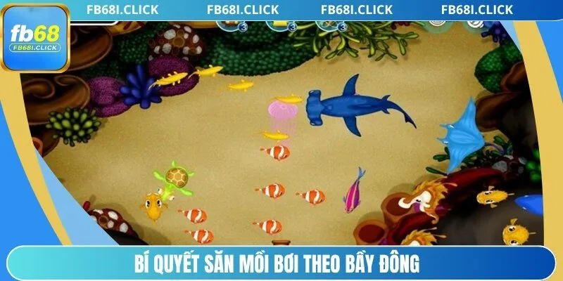 Bí quyết săn mồi bơi theo bầy đông