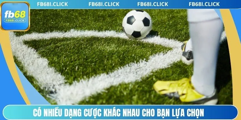 Có nhiều dạng cược hấp dẫn ở đây cho bạn lựa chọn