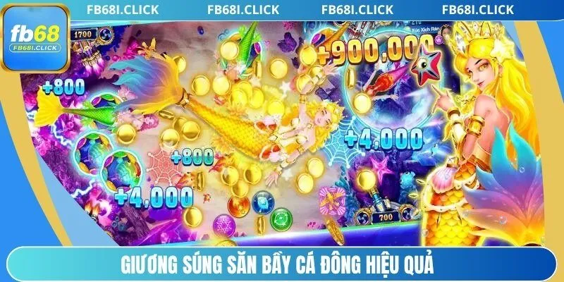 Giương súng săn bầy cá đông hiệu quả